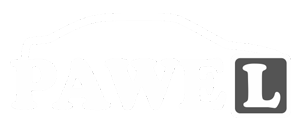 client-logo-9